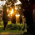 Le Prata - Residenza Del Vescovo - Adults Only Montalcino