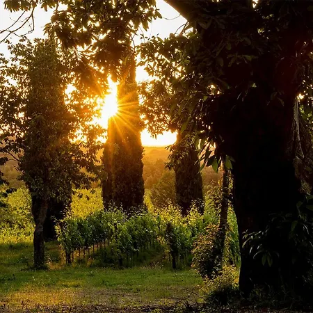 Le Prata - Residenza Del Vescovo - Adults Only Montalcino