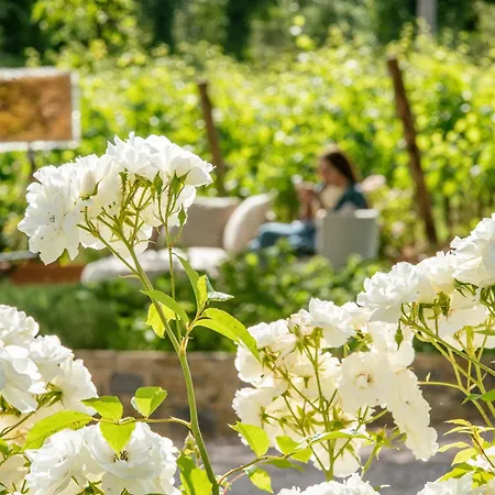 Ośrodek wypoczynkowy Le Prata - Residenza Del Vescovo - Adults Only Montalcino