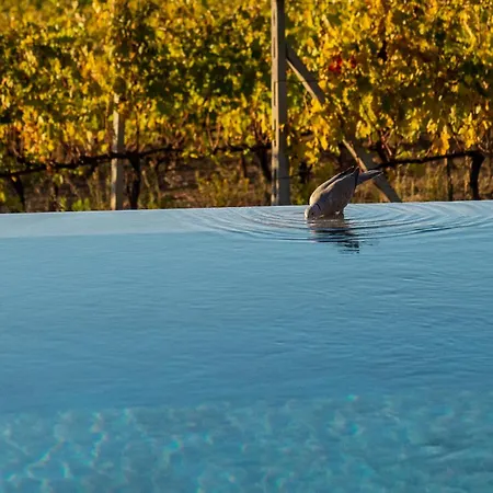 Le Prata - Residenza Del Vescovo - Adults Only 5* Montalcino